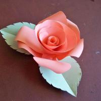 Creating Paper Roses - Technique #1 (Using Patterned Petals and securing with Elmer's Glue)